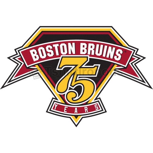 Boston Bruins T-shirts Iron On Transfers N74 - Click Image to Close